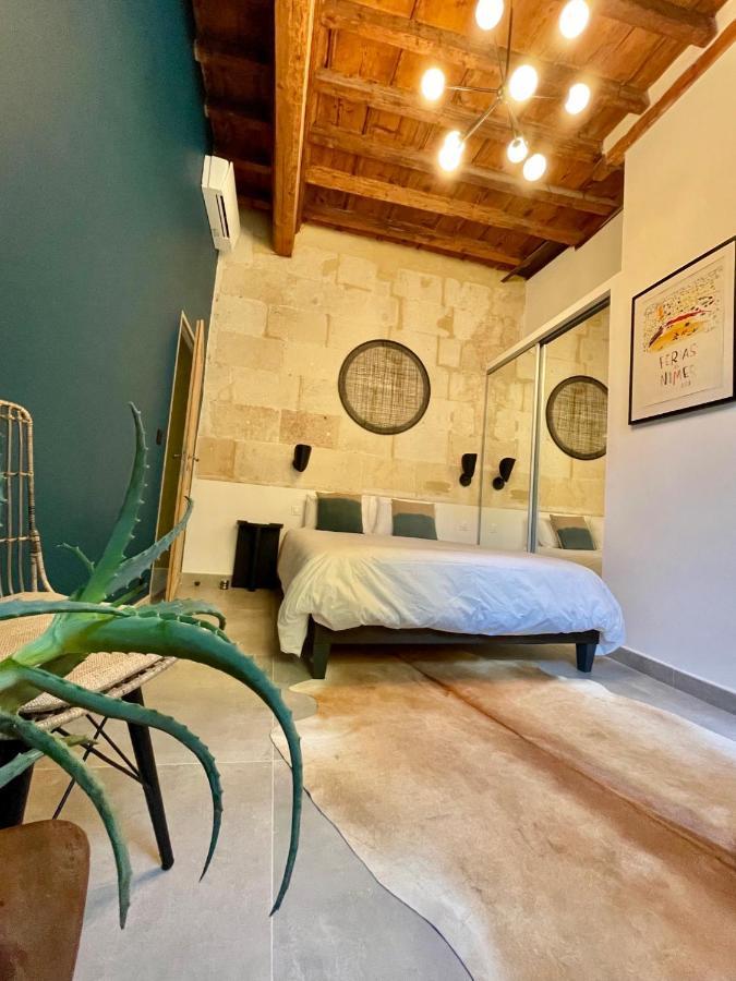 Grand Confort Au Coeur De Nîmes Kültér fotó